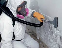 Best Comprehensive Air Testing for Mold Contaminants  in Asheville, NC